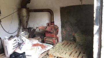 Comprar Rural / S&iacute;tio em Potirendaba R$ 5.500.000,00 - Foto 9
