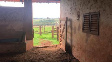 Comprar Rural / S&iacute;tio em Potirendaba R$ 5.500.000,00 - Foto 10