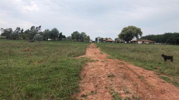 Comprar Rural / S&iacute;tio em Potirendaba R$ 5.500.000,00 - Foto 18