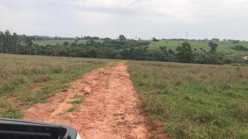 Comprar Rural / S&iacute;tio em Potirendaba R$ 5.500.000,00 - Foto 19