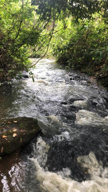 Comprar Rural / S&iacute;tio em Potirendaba R$ 5.500.000,00 - Foto 20
