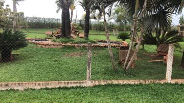 Comprar Rural / S&iacute;tio em Potirendaba R$ 5.500.000,00 - Foto 24