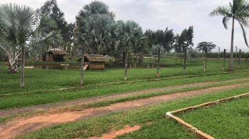 Comprar Rural / S&iacute;tio em Potirendaba R$ 5.500.000,00 - Foto 25