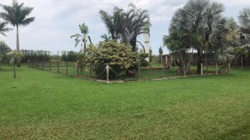 Comprar Rural / S&iacute;tio em Potirendaba R$ 5.500.000,00 - Foto 26