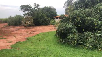 Comprar Rural / S&iacute;tio em Potirendaba R$ 5.500.000,00 - Foto 28