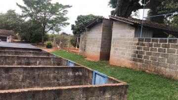 Comprar Rural / S&iacute;tio em Potirendaba R$ 5.500.000,00 - Foto 29
