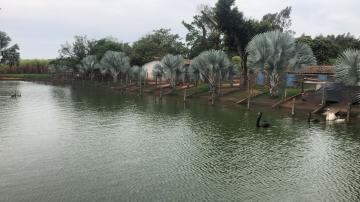 Comprar Rural / S&iacute;tio em Potirendaba R$ 5.500.000,00 - Foto 31