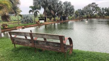 Comprar Rural / S&iacute;tio em Potirendaba R$ 5.500.000,00 - Foto 32