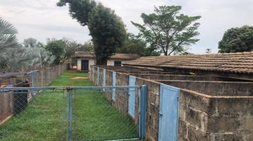 Comprar Rural / S&iacute;tio em Potirendaba R$ 5.500.000,00 - Foto 34