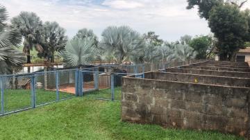Comprar Rural / S&iacute;tio em Potirendaba R$ 5.500.000,00 - Foto 35