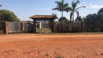 Comprar Rural / S&iacute;tio em Potirendaba R$ 5.500.000,00 - Foto 41