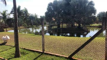 Comprar Rural / S&iacute;tio em Potirendaba R$ 5.500.000,00 - Foto 42