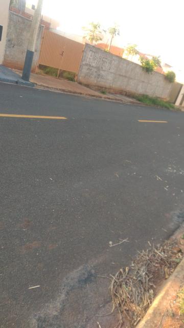 Terreno / Padr&atilde;o em Uchoa 