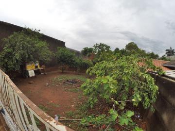 Alugar Casa / Padr&atilde;o em S&atilde;o Jos&eacute; do Rio Preto R$ 1.500,00 - Foto 13