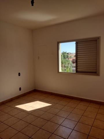 Alugar Apartamento / Padr&atilde;o em S&atilde;o Jos&eacute; do Rio Preto R$ 770,00 - Foto 5
