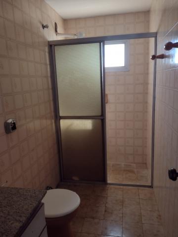 Alugar Apartamento / Padr&atilde;o em S&atilde;o Jos&eacute; do Rio Preto R$ 770,00 - Foto 8