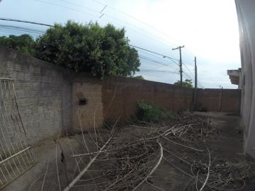 Comprar Comercial / Sal&atilde;o em S&atilde;o Jos&eacute; do Rio Preto R$ 880.000,00 - Foto 10
