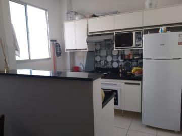 Alugar Apartamento / Padr&atilde;o em S&atilde;o Jos&eacute; do Rio Preto R$ 950,00 - Foto 2