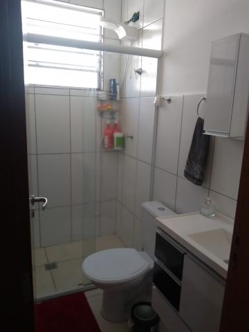 Alugar Apartamento / Padr&atilde;o em S&atilde;o Jos&eacute; do Rio Preto R$ 950,00 - Foto 9