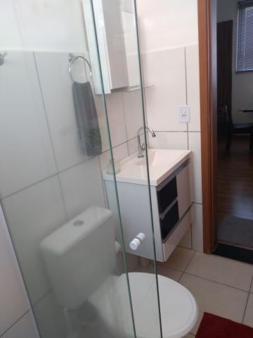 Alugar Apartamento / Padr&atilde;o em S&atilde;o Jos&eacute; do Rio Preto R$ 950,00 - Foto 10