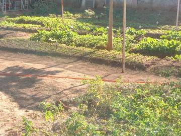 Alugar Rural / Ch&aacute;cara em S&atilde;o Jos&eacute; do Rio Preto R$ 8.500,00 - Foto 7