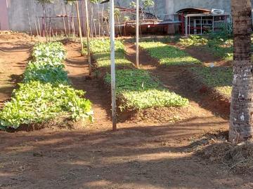 Alugar Rural / Ch&aacute;cara em S&atilde;o Jos&eacute; do Rio Preto R$ 8.500,00 - Foto 10