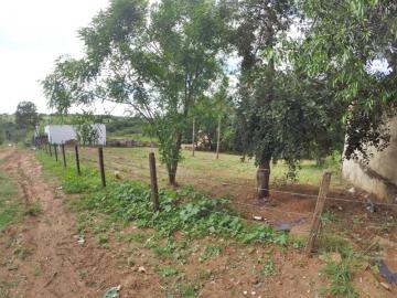 Alugar Terreno / &Aacute;rea em S&atilde;o Jos&eacute; do Rio Preto R$ 600,00 - Foto 3