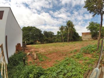 Alugar Terreno / &Aacute;rea em S&atilde;o Jos&eacute; do Rio Preto R$ 600,00 - Foto 4