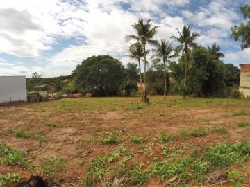 Alugar Terreno / &Aacute;rea em S&atilde;o Jos&eacute; do Rio Preto R$ 600,00 - Foto 2