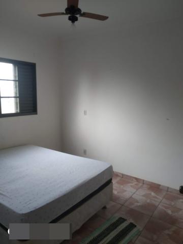 Comprar Rural / Rancho em Adolfo R$ 800.000,00 - Foto 8