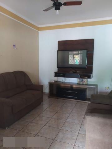 Comprar Rural / Rancho em Adolfo R$ 800.000,00 - Foto 5