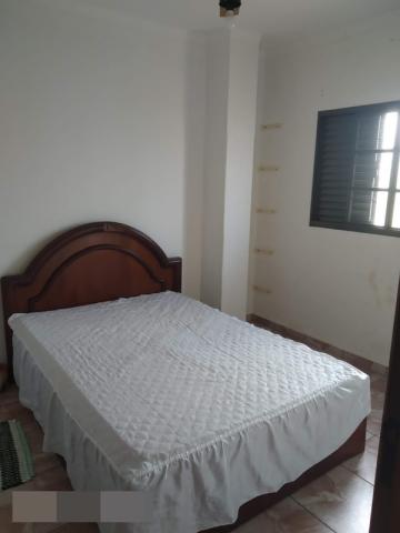 Comprar Rural / Rancho em Adolfo R$ 800.000,00 - Foto 9