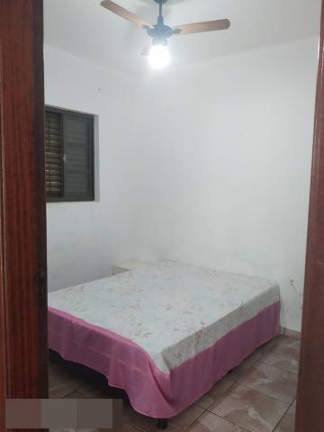 Comprar Rural / Rancho em Adolfo R$ 800.000,00 - Foto 10