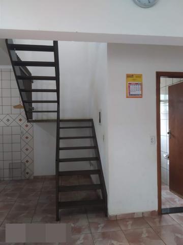Comprar Rural / Rancho em Adolfo R$ 800.000,00 - Foto 14