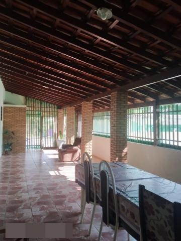 Comprar Rural / Rancho em Adolfo R$ 800.000,00 - Foto 4