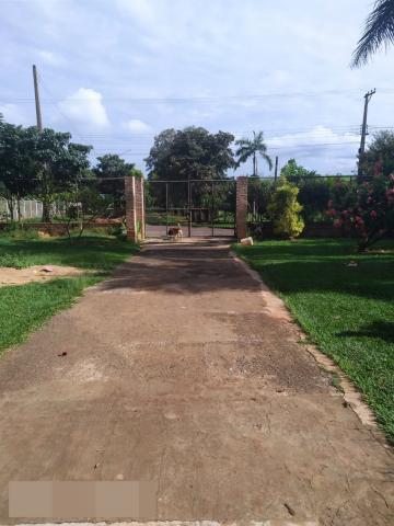 Comprar Rural / Rancho em Adolfo R$ 800.000,00 - Foto 3