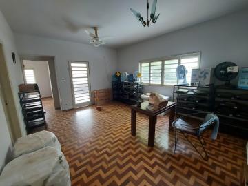 Comercial / Casa Comercial em S&atilde;o Jos&eacute; do Rio Preto 