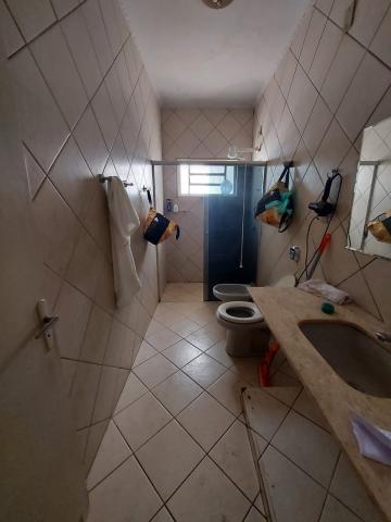Alugar Comercial / Casa Comercial em S&atilde;o Jos&eacute; do Rio Preto R$ 5.000,00 - Foto 5