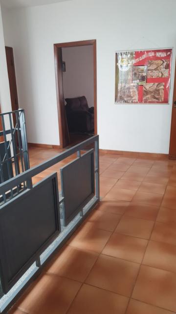 Alugar Casa / Padr&atilde;o em S&atilde;o Jos&eacute; do Rio Preto R$ 4.500,00 - Foto 6