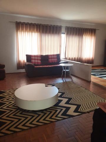 Alugar Casa / Padr&atilde;o em S&atilde;o Jos&eacute; do Rio Preto R$ 4.500,00 - Foto 7