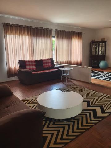 Alugar Casa / Padr&atilde;o em S&atilde;o Jos&eacute; do Rio Preto R$ 4.500,00 - Foto 19