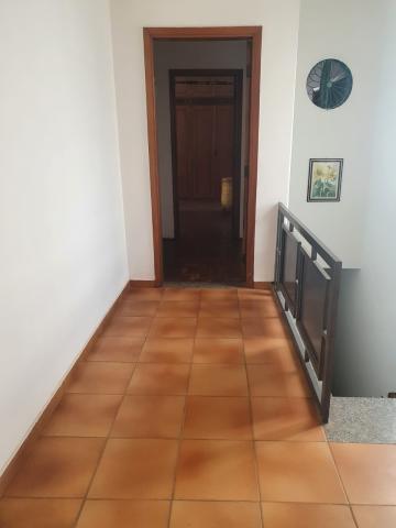 Alugar Casa / Padr&atilde;o em S&atilde;o Jos&eacute; do Rio Preto R$ 4.500,00 - Foto 27