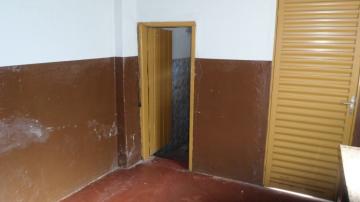 Alugar Casa / Padr&atilde;o em S&atilde;o Jos&eacute; do Rio Preto. apenas R$ 600,00