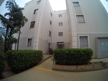 Alugar Apartamento / Padr&atilde;o em S&atilde;o Jos&eacute; do Rio Preto R$ 700,00 - Foto 15