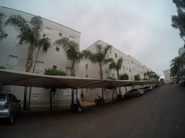 Alugar Apartamento / Padr&atilde;o em S&atilde;o Jos&eacute; do Rio Preto R$ 700,00 - Foto 16