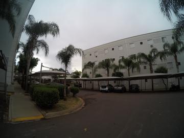 Alugar Apartamento / Padr&atilde;o em S&atilde;o Jos&eacute; do Rio Preto R$ 700,00 - Foto 17
