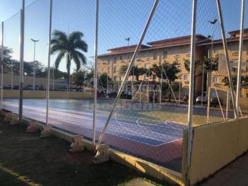 Alugar Apartamento / Padr&atilde;o em S&atilde;o Jos&eacute; do Rio Preto R$ 800,00 - Foto 13