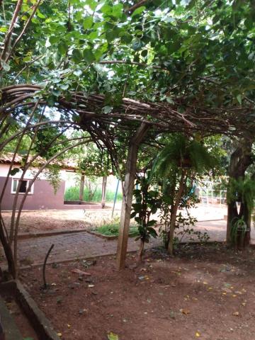 Comprar Rural / Ch&aacute;cara em S&atilde;o Jos&eacute; do Rio Preto R$ 2.000.000,00 - Foto 20