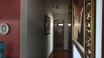 Alugar Apartamento / Padr&atilde;o em S&atilde;o Jos&eacute; do Rio Preto R$ 1.500,00 - Foto 3