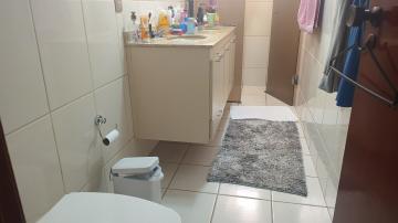 Alugar Apartamento / Padr&atilde;o em S&atilde;o Jos&eacute; do Rio Preto R$ 1.500,00 - Foto 5